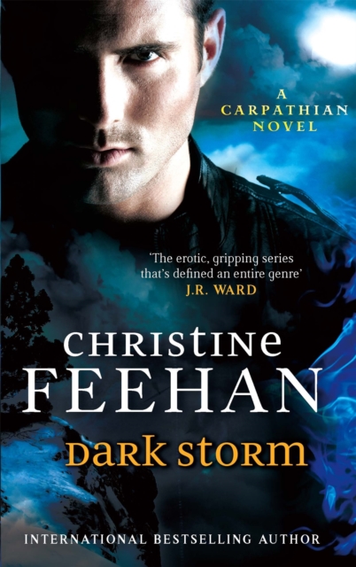 Dark Storm : Number 23 in series, Paperback / softback Book