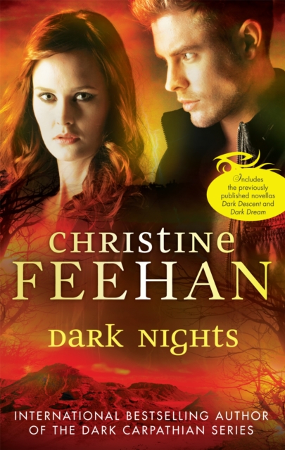 Dark Nights, Paperback / softback Book