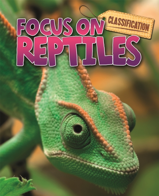Classification: Focus on: Reptiles, Paperback / softback Book