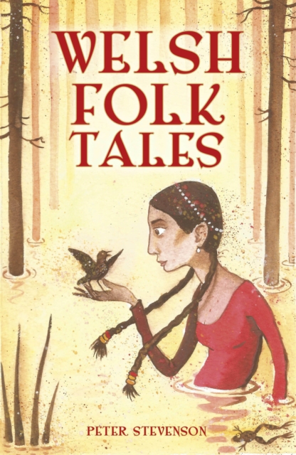 Welsh Folk Tales, Hardback Book