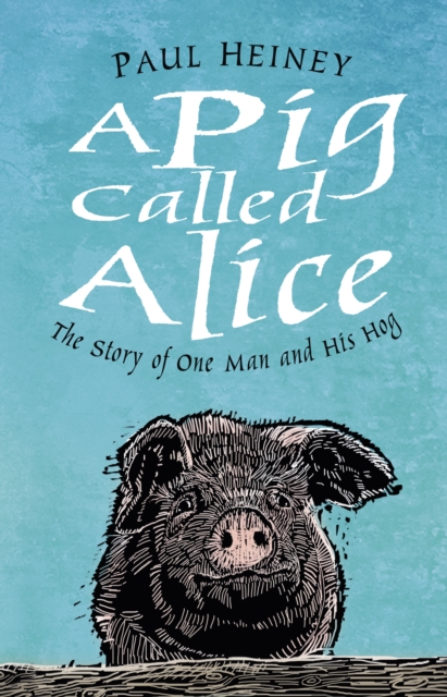 A Pig Called Alice : The Story of One Man and His Hog, Hardback Book