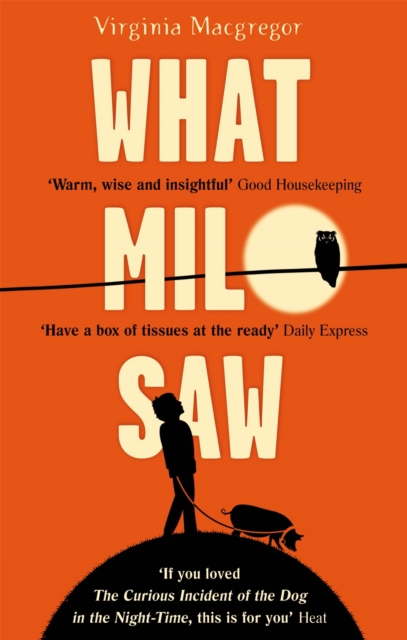 What Milo Saw : He sees the world in a very special way . . ., Paperback / softback Book