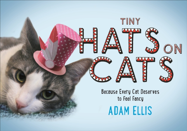 Tiny Hats on Cats, EPUB eBook