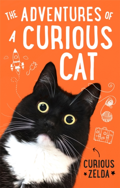 The Adventures of a Curious Cat : wit and wisdom from Curious Zelda, purrfect for cats and their humans, Paperback / softback Book
