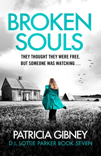 Broken Souls : An absolutely addictive mystery thriller with a brilliant twist, Paperback / softback Book