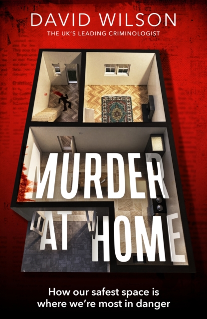 Murder at Home : how our safest space is where we're most in danger, EPUB eBook