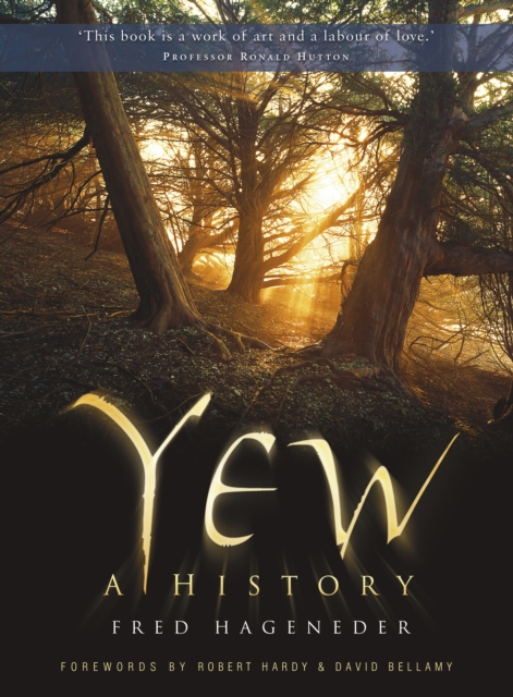 Yew : A History, Paperback / softback Book