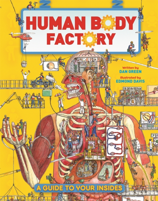 The Human Body Factory : A Guide To Your Insides, Hardback Book