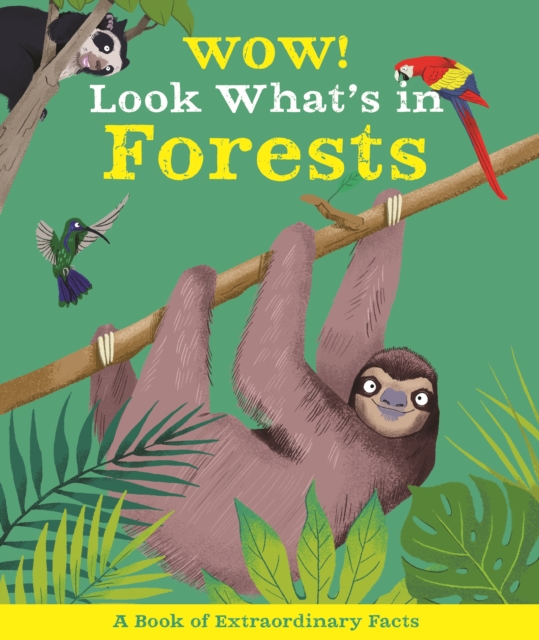 Wow! Look What's In Forests, Paperback Book