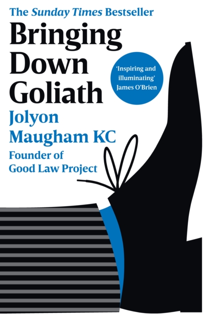 Bringing Down Goliath : How Good Law Can Topple the Powerful, Hardback Book