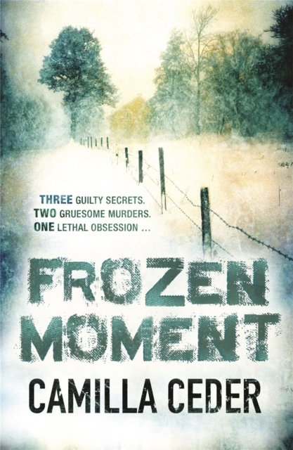 Frozen Moment : 'A good psychological crime novel that will appeal to fans of Wallander and Stieg Larsson' CHOICE, Paperback / softback Book