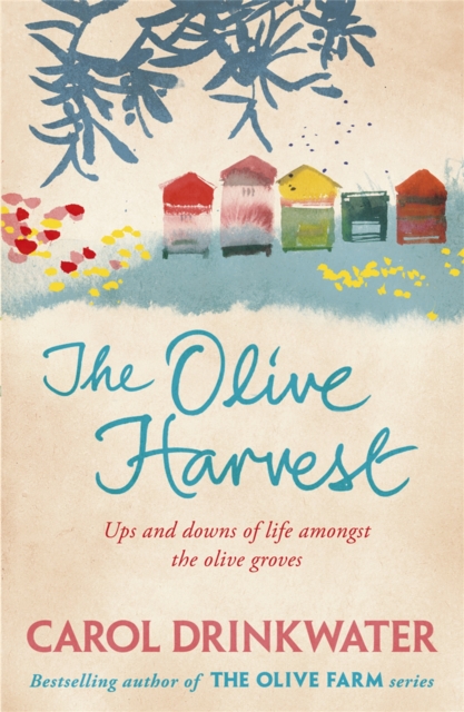 The Olive Harvest : A Memoir of Love, Old Trees, and Olive Oil, Paperback / softback Book