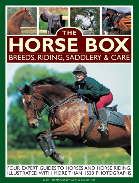 Horse Box: Breeds, Riding, Saddlery & Care, Paperback / softback Book