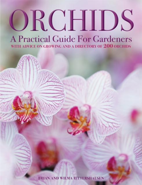 Orchids, Hardback Book