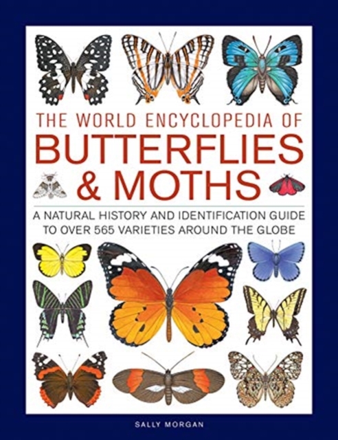 Butterflies & Moths, The World Encyclopedia of : A natural history and identification guide to over 565 varieties around the globe, Hardback Book