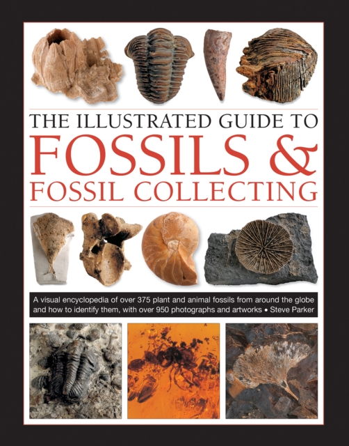 Fossils & Fossil Collecting, The Illustrated Guide to : A reference guide to over 375 plant and animal fossils from around the globe and how to identify them, with over 950 photographs and artworks, Hardback Book