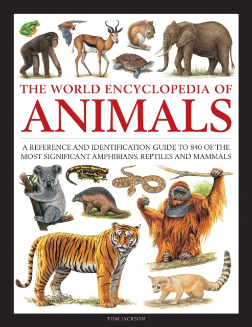 Animals, The World Encyclopedia of : A reference and identification guide to 840 of the most significant amphibians, reptiles and mammals, Hardback Book