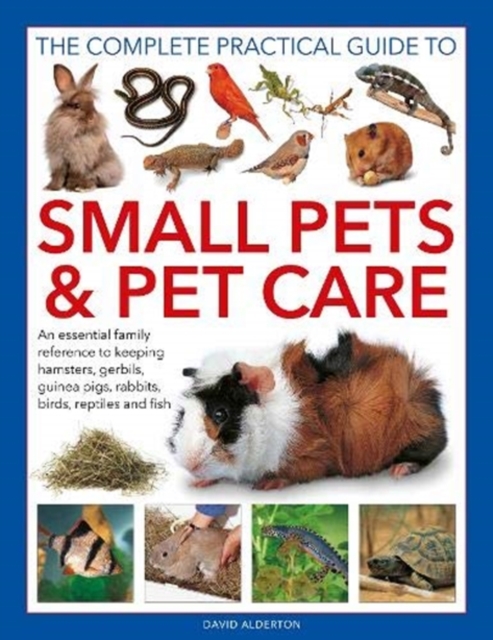 Small Pets and Pet Care, The Complete Practical Guide to : An essential family reference to keeping hamsters, gerbils, guinea pigs, rabbits, birds, reptiles and fish, Hardback Book