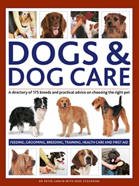 Dogs & Dog Care : A directory of 175 breeds and practical advice on choosing the right pet. Feeding, grooming, breeding, training, health care and first aid, Hardback Book