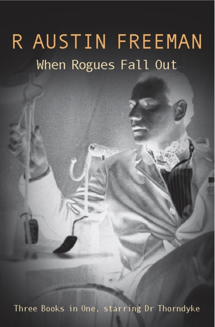 When Rogues Fall Out, EPUB eBook