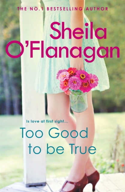 Too Good To Be True : A feel-good read of romance and adventure, Paperback / softback Book