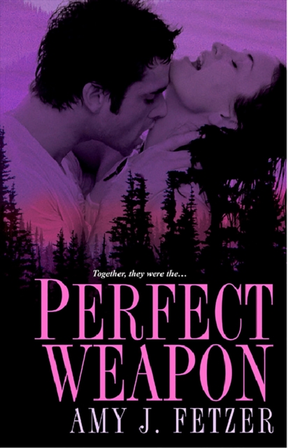 Perfect Weapon, EPUB eBook