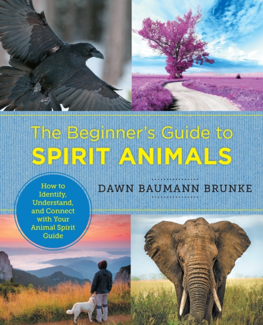 The Beginner's Guide to Spirit Animals : How to Identify, Understand, and Connect with Your Animal Spirit Guide, Paperback / softback Book