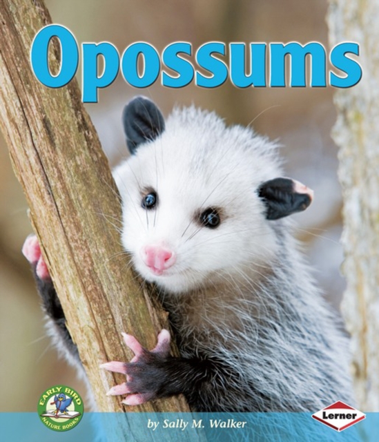 Opossums, PDF eBook