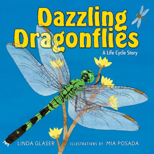 Dazzling Dragonflies : A Life Cycle Story, PDF eBook