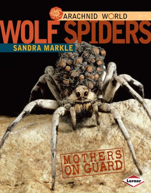 Wolf Spiders : Mothers on Guard, PDF eBook