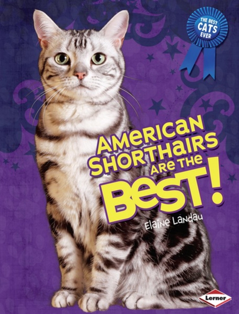American Shorthairs Are the Best!, PDF eBook