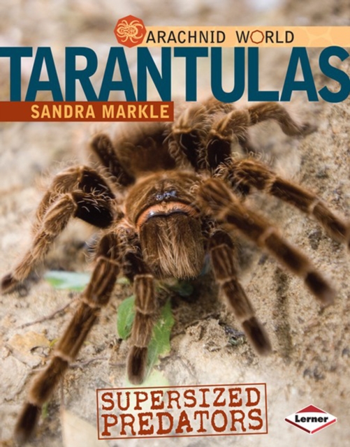 Tarantulas : Supersized Predators, PDF eBook