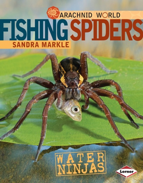 Fishing Spiders : Water Ninjas, PDF eBook