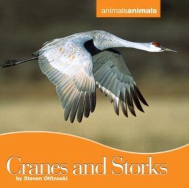 Cranes and Storks, PDF eBook
