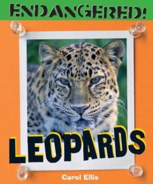 Leopards, PDF eBook
