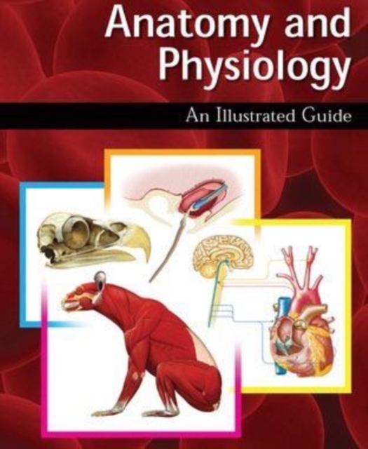 Anatomy and Physiology: An Illustrated Guide, PDF eBook