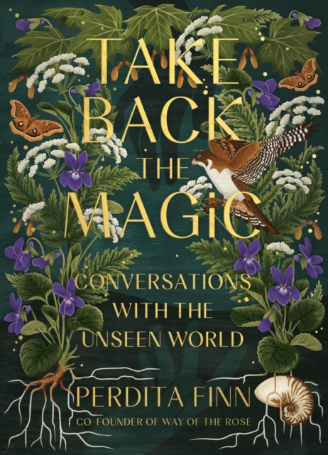 Take Back the Magic : Conversations with the Unseen World, Hardback Book