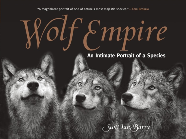 Wolf Empire : An Intimate Portrait of a Species, EPUB eBook