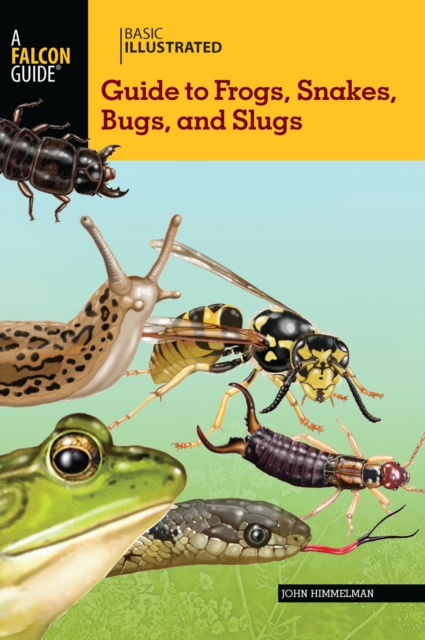Basic Illustrated Guide to Frogs, Snakes, Bugs, and Slugs, EPUB eBook