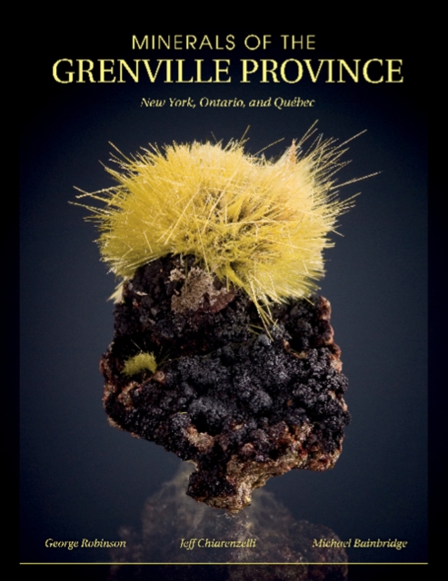 Minerals of the Grenville Province: New York, Ontario and Quebec, Paperback / softback Book