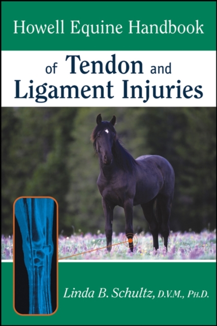 Howell Equine Handbook of Tendon and Ligament Injuries, PDF eBook