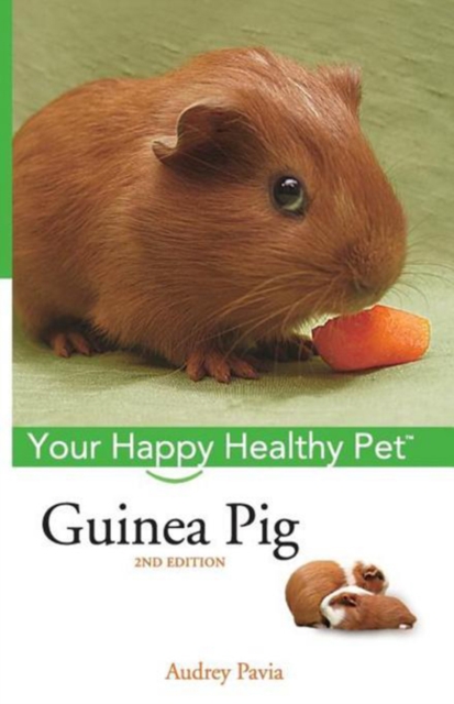 Guinea Pig : Your Happy Healthy Pet, PDF eBook