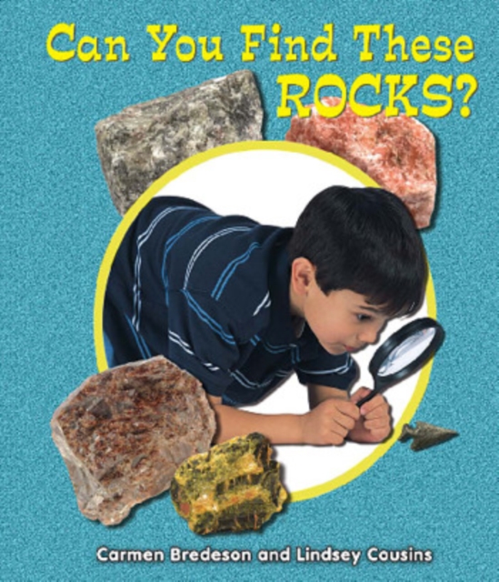 Can You Find These Rocks?, PDF eBook