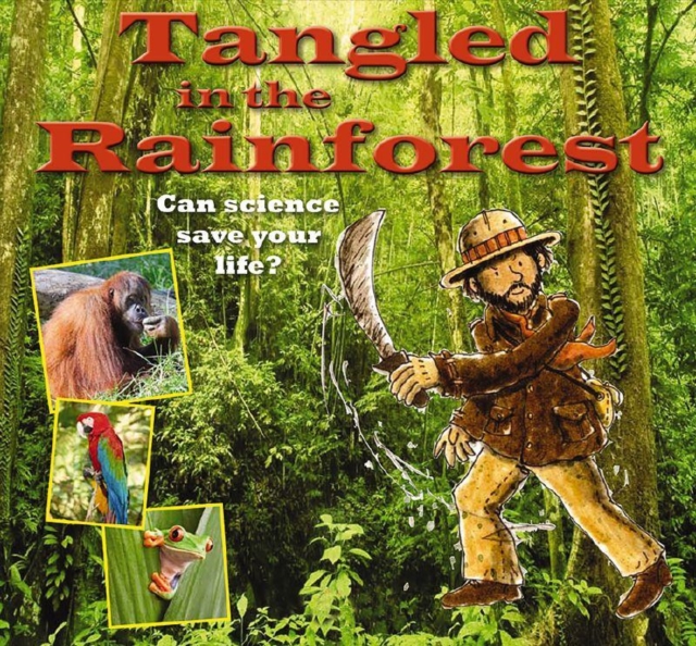 Tangled in the Rainforest, Paperback / softback Book