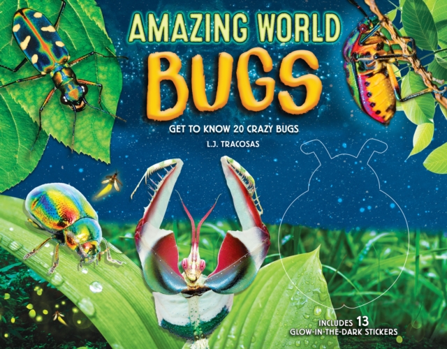 Amazing World: Bugs : Get to know 20 crazy bugs Volume 1, Hardback Book