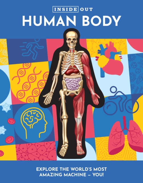 Inside Out Human Body : Volume 1, Hardback Book