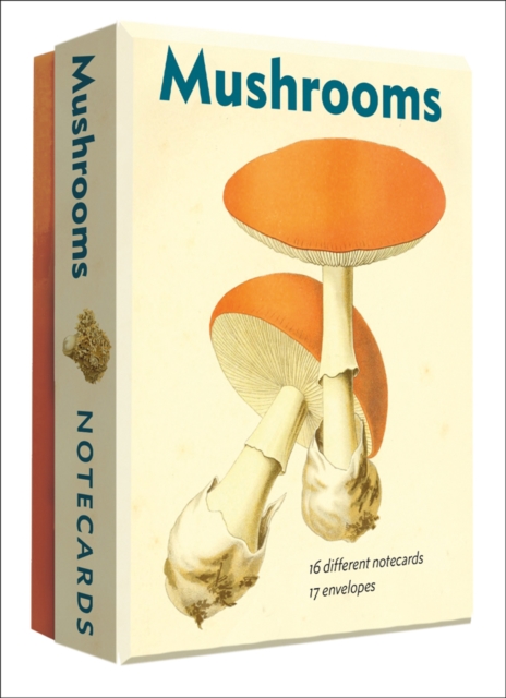 Mushrooms Detailed Notecard Set, Cards Book