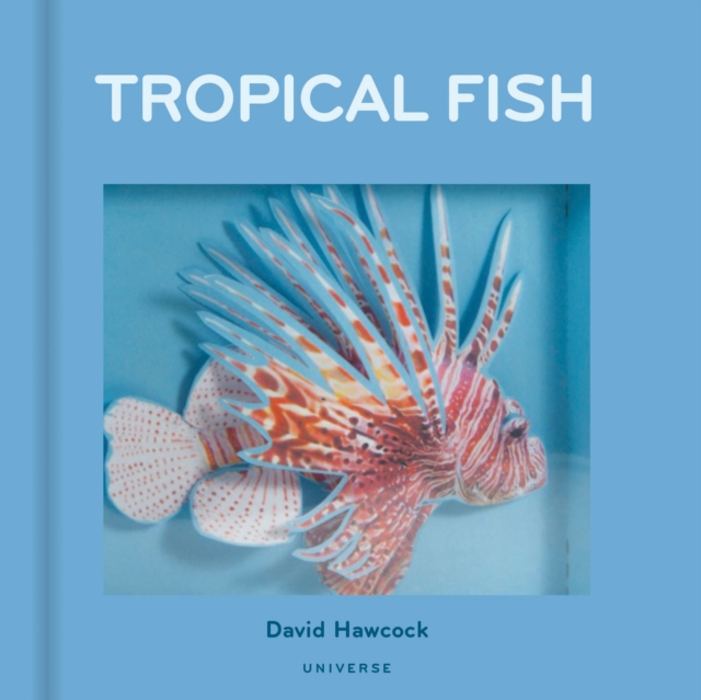Tropical Fish, Hardback Book