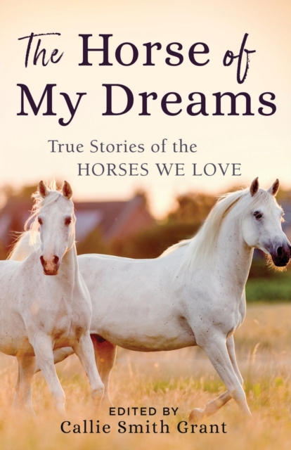 The Horse of My Dreams : True Stories of the Horses We Love, Paperback / softback Book
