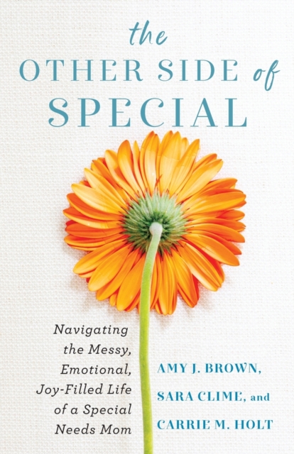The Other Side of Special - Navigating the Messy, Emotional, Joy-Filled Life of a Special Needs Mom, Paperback / softback Book